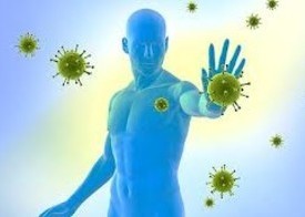 Міцний імунітет – щит проти інфекції