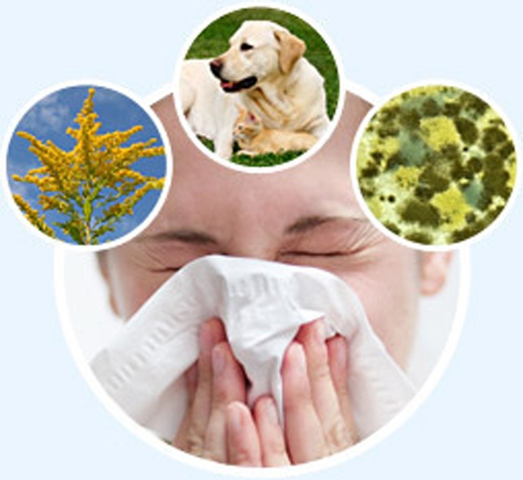 Що потрібно знати про астму та алергію