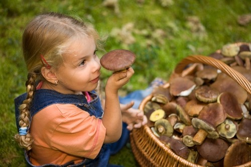 Отруєння грибами в дітей