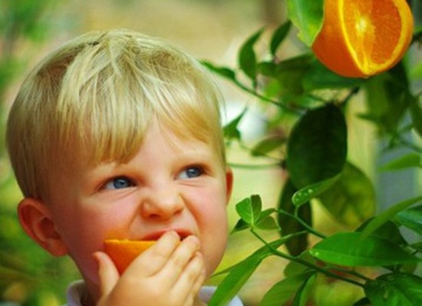 Особливості харчування дітей з алергіями