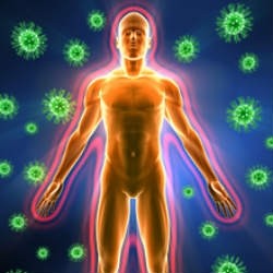 Значення органів імунної системи для формування захисних сил організму