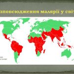 25 квітня - День боротьби з малярією