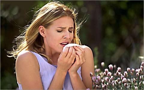 Алергодерматози – актуальна медична проблема