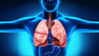 Морфологічні передумови виникнення захворювань дихальної системи