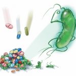 Ген стійкості до антибіотиків: що це?