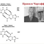 Видатний буковинець – Ервін Чаргафф