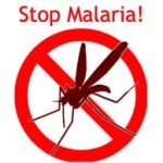 World Malaria Day