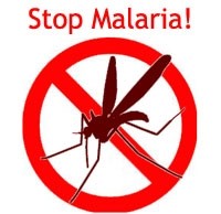 World Malaria Day