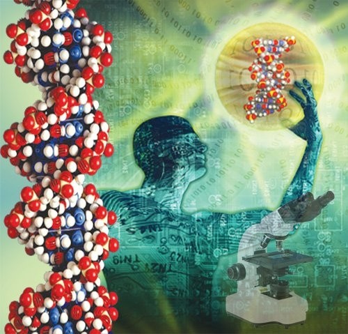 Що ще заховано в нашій ДНК?