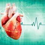 Сучасні можливості регуляції серцевої діяльності