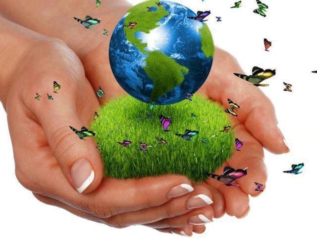 Екологія природи. Екологічне виховання | Блоги БДМУ