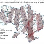 Міграції птахів і поширення інфекцій у світі