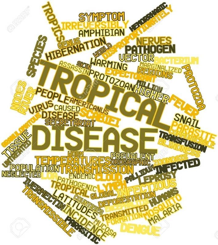 Окремі аспекти тропічної медицини: забуті тропічні хвороби