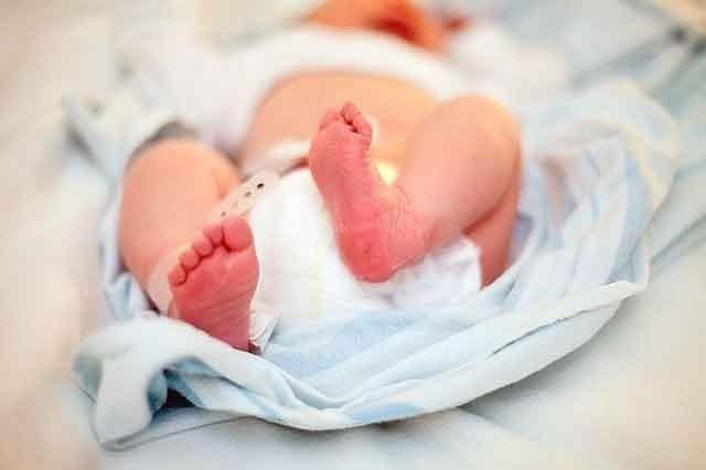 Досвід проведення катамнестичного спостереження недоношених новонароджених у країнах Європи