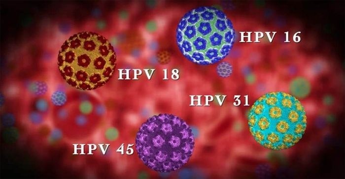 Вірус папіломи людини і здоров’я жінки