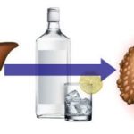 Як алкоголь впливає на печінку