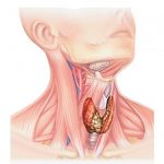 Хірургічна тиреоїдна патологія на Буковині