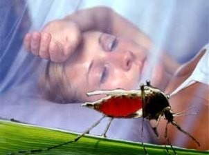 25 квітня відзначається Всесвітній день боротьби з малярією