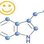 Гормон щастя. Як він працює.