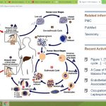 Distant learning of infectious diseases – malaria practical on-line session with foreign students