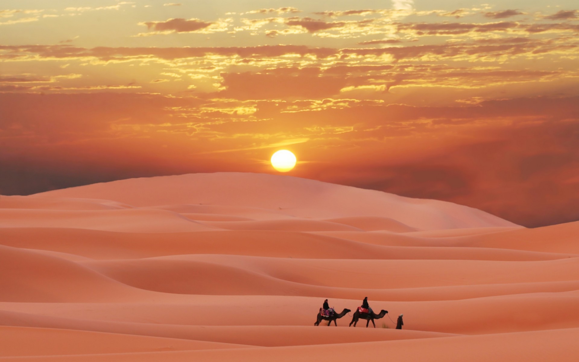 Чи є життя в пустелі Сахара?