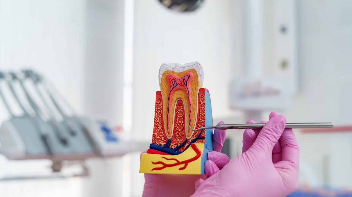 Ендокринна патологія як фактор ризику стоматологічних захворювань та ускладнень ортопедичного лікування